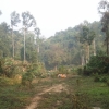 Htamanthi basecamp